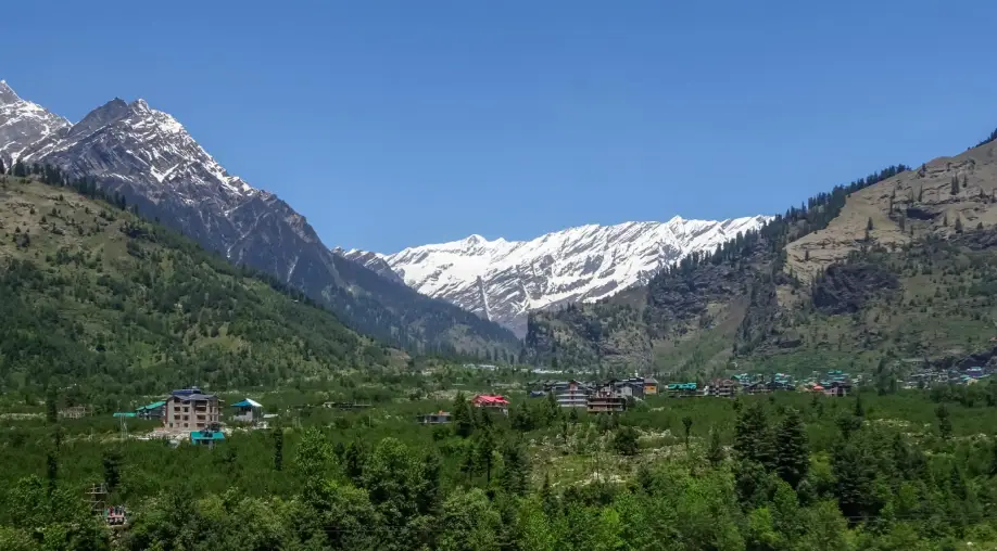 1742982462 67e3cd3e86835