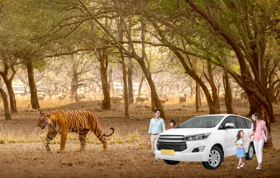 Car Rental Ranthambore