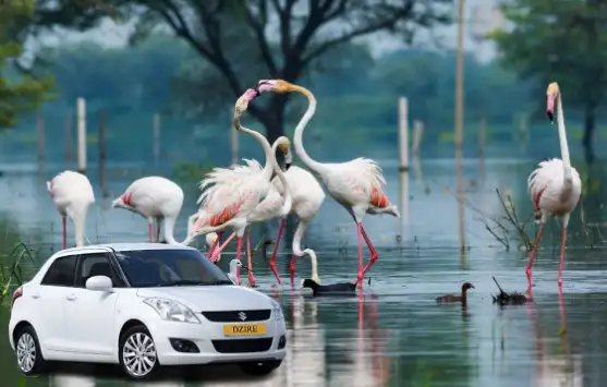 Bikaner to Bharatpur Taxi