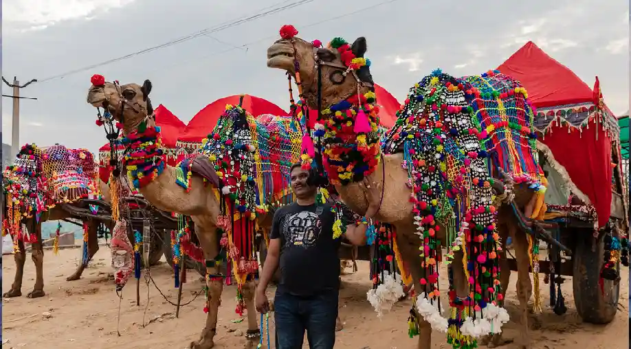 Ajmer Pushkar Tour