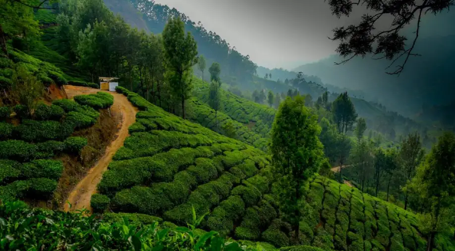 Mysore Goa Tour Package