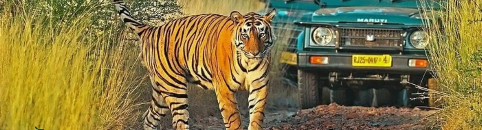 Rajasthan Wildlife Tour Package